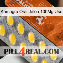 Kamagra Oral Jelly 100Mg Use 42